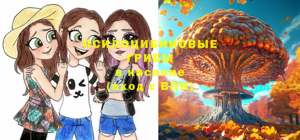 тгк Каменногорск