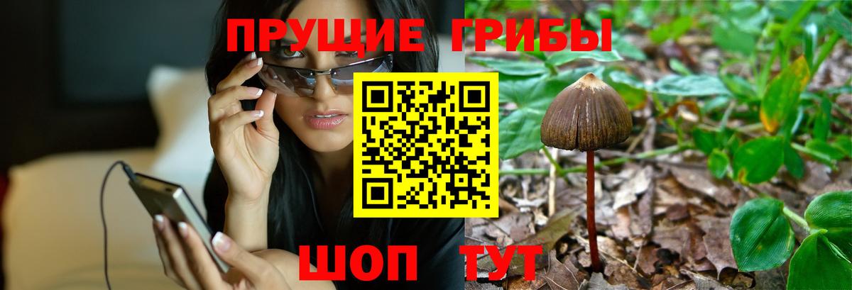 Псилоцибиновые грибы мухоморы Кимовск
